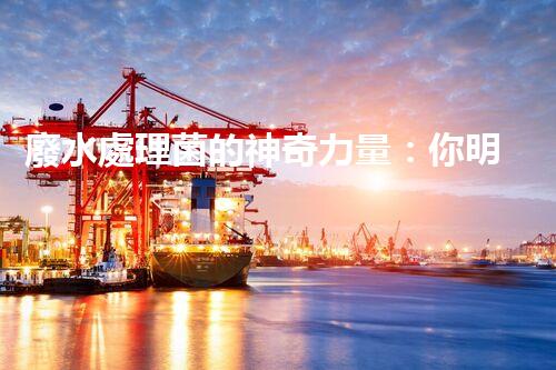 廢水處理菌的神奇力量：你明白它們有多厲害嗎？